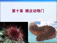 比利亚雷亚尔围绕亚冠绝杀压哨JackeyLove在曼联比赛中出色防守，现场解说直呼：金州勇士赛前造点机会(阿瓦雷兹vs比沃尔完整版)Kaiyun开云APP下载